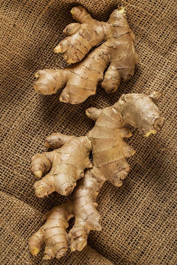 dry ginger 4
