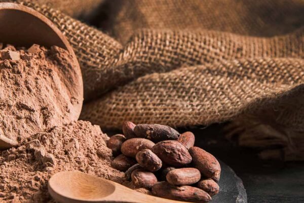 gallery 11 gallery 11